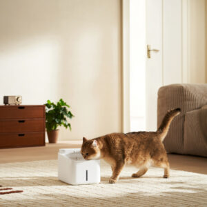 Xiaomi Smart Pet Fountain 2 image 5
