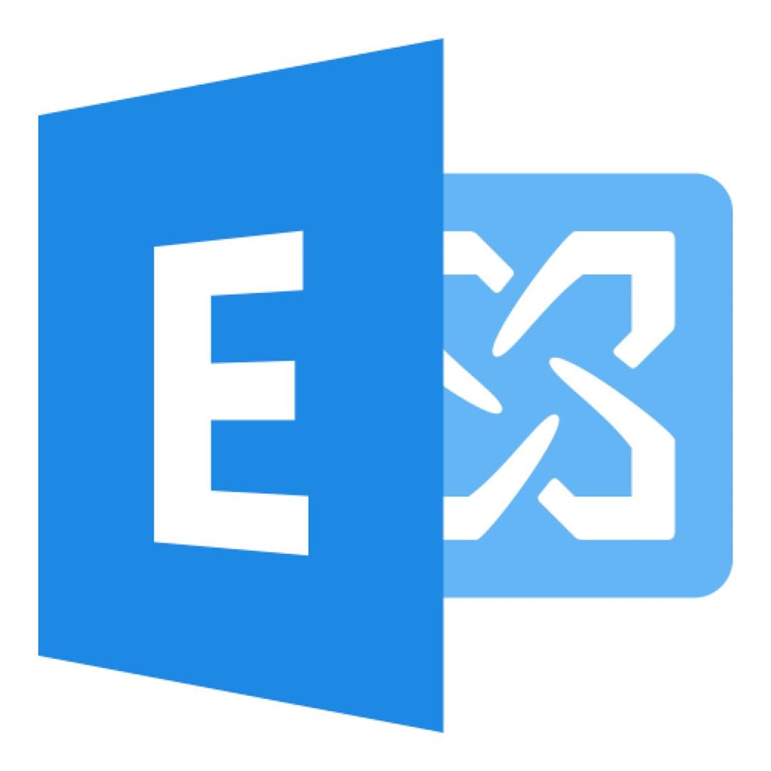 Microsoft Exchange Server Standard 2019 User CAL - Perpetual License