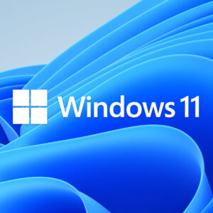Microsoft Windows 11 Pro DVD Single User License FQC-10528 image 2